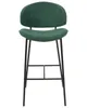 A single dark green bar stool with a black metal frame is shown against a white background. Náhled obrázku produktu