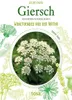 Giersch - Aegopodium Podagraria Produktbild-Vorschau 1