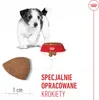 Royal Canin Mini Puppy, Welpe, Geflügel, 8 kg Produktbild-Vorschau 10