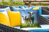 MuchoWow® Outdoor Kissen - Kühe - Weide - Tiere - Bauernhof Produktbild-Vorschau 4
