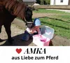 Pferde Putzbox LINA zweifärbig Putzkasten Putzkoffer Produktbild-Vorschau 5