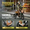 E Dreirad 48 V 25 Ah Akku, 100 km Reichweite, 180 kg Produktbild-Vorschau 9