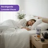 Schopflavendel Tee geschnitten 50 g - Anadoa Naturhaus Produktbild-Vorschau