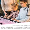 FCH 61-klávesový klávesový nástroj, elektronické klavír, Náhľad obrázku produktu 7
