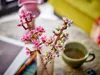 Lego Flowers 40725 Cherry Blossoms Productafbeelding-voorbeeld 31