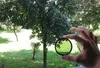 Filtro Cpl per Gopro Hero 13 Nero Telesin (S5-Flt-08-Tgp) Anteprima dell’immagine prodotto 11