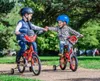 Bicicletta per bambini 12 pollici Cars Disney per ragazzo Anteprima dell’immagine prodotto 17