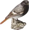 Goebel Vogel des Jahres 2025 Hausrotschwanz (Figur, Podgląd zdjęcia produktu 1