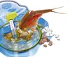 Clementoni Galileo Triops Nachfüllset Produktbild-Vorschau 10