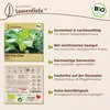 Samenliebe  Pak Choi Samen | Taisai - samenfestes  Saatgut Produktbild-Vorschau 3