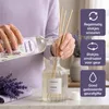 SODASAN Parfum d'ambiance Lavande Recharge 500 ml Voir les images du produit 9