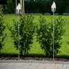 BUVTEC 2er-LED-Solar-Gartenfackel-Set 'Chiemsee', Produktbild-Vorschau 2