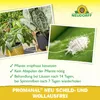 Neudorff Promanal Neu Schild- und Wolllausfrei 250ml Produktbild-Vorschau 4