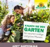 Neudorff  - Azet GartenKalk 2,5 kg für 50 m² Produktbild-Vorschau 6