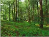 ARTland Wandbild Alu für Innen & Outdoor Panorama von einem Produktbild-Vorschau 1