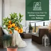 Meine Orangerie Satsuma Mandarine Mezzo - echter Citrusbaum Produktbild-Vorschau 5