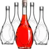 Five glass bottles, one filled with red liquid, are arranged on a white background. Podgląd zdjęcia produktu