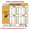 Royal Canin Cocker Adult, Dorosły, Cocker Spaniel, Średnie Podgląd zdjęcia produktu 7