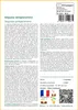 SAFLAX  - Séquoia sempervirens - 50 graines - Sequoia Voir les images du produit 3