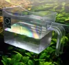 A clear plastic fish catching cup filled with water, with a rainbow effect visible on the water's surface, set against a blurred background of green aquarium plants. Produktbild-Vorschau