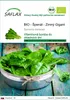 SAFLAX - BIO - Špenát - Zimný Gigant - Spinacia oleracea - Náhľad obrázku produktu 1