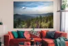MuchoWow® Poster Übersicht über die Bäume im Nationalpark Produktbild-Vorschau 2