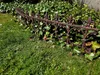 Beetzaun Antik Produktbild-Vorschau