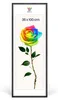 MG Design Bilderrahmen Schwarz 35x100 cm - Posterrahmen Produktbild-Vorschau 1