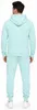 Herren Jogginganzug einfarbig 100% BW 586 Mint Grün L Produktbild-Vorschau 5
