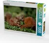 CALVENDO Puzzle Jacky und Jack | 1000 Teile Lege-Größe Produktbild-Vorschau 1