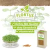 Artikelbild 9 von 'BIO Keimsprossen Senf' aus der Kategorie Keimsprossen Produktbild-Vorschau