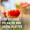 COMPO Balkon- & Kübelpflanzendünger 2,5 Liter Produktbild-Vorschau 7