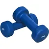 GORILLA SPORTS® Gymnastikhanteln Set - 10kg Gewichte mit Produktbild-Vorschau 8