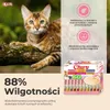 INABA Churu Assortimentdoos Tonijn - Kattenvoer - 60 x 14g Productafbeelding-voorbeeld 4
