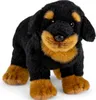 Carl Dick Rottweiler stehend ca. 20cm, Plüschtier, Produktbild-Vorschau 3