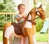 Cavallo meccanico da equitazione Ponnie Misty M Anteprima dell’immagine prodotto 4