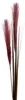 Künstliches Lampenputzergras ca. 80 cm BURGUND. Pampasgras Produktbild-Vorschau 1