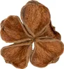 Landlotus Natur 50 St - Trockenfloristik Deko für Produktbild-Vorschau 2