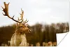 MuchoWow® Poster Damhirsch - Wald - Herde - Tiere - Natur Produktbild-Vorschau 1