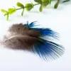 Piume di pavone vere, 5-8cm blu verde, materiale per Anteprima dell’immagine prodotto 3