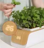 A person's hand is shown tending to a smart planter with mint plants. A close-up inset highlights a digital display showing '26'. Produktbild-Vorschau