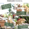 4x tappeto di semi Miscela di semi di fiori per fioriere - Anteprima dell’immagine prodotto 6