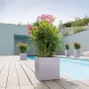 Lechuza Canto Stone plastový květináč 30x30x30 cm šedý Náhled obrázku produktu 25