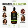 Ricinusolie Shampoo met Biotine voor Sterker en Groeiend Productafbeelding-voorbeeld 9