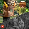 WISFOR Eichhörnchen Futterhaus, mit transparenten Produktbild-Vorschau 8