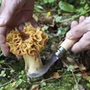 Opinel O001252 paddenstoelenmes, bruin, natuurlijke kleur Productafbeelding-voorbeeld 17