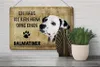 Blechschild Spruch 30x20cm Dalmatiner Hund ohne kein Heim Produktbild-Vorschau 4