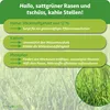 Purgrün Rasendünger 10 kg, Produktbild-Vorschau 3