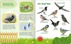 Mein großes Buch der Vogelstimmen Produktbild-Vorschau 3