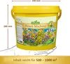 Bienen - Mischung im 5 l Eimer | Bienenwiese von N.L. Produktbild-Vorschau 5